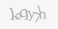 Защитный код