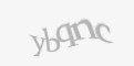 Защитный код