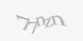 Защитный код