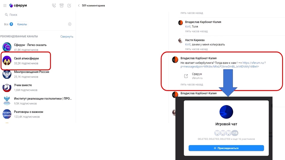 Частная платформа «Сферум»